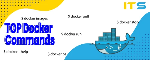 top docker comands